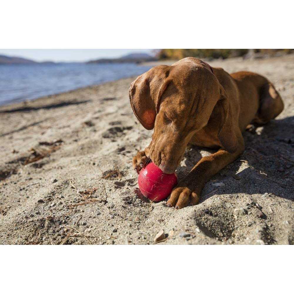 Dog Toy Ball C4928