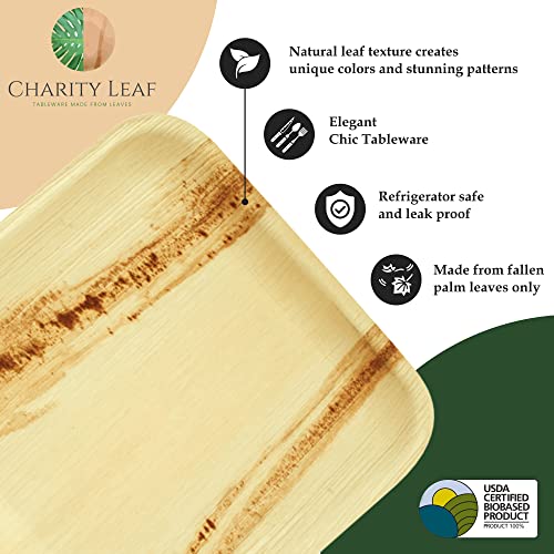 Disposable Palm Leaf 17"x12" Plates (5 pieces) T2898
