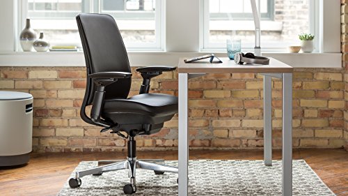 Platinum Frame/Base Task Chair with 4 Way Adjustable Arms B850