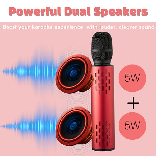 Black Handheld Wireless Microphone with 10W Dual Speakers L92301