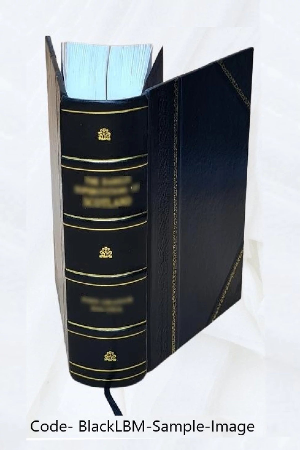 Hamburger Garten-und Blumenzeitung Volume v.35 1879 Leather Bound J2294