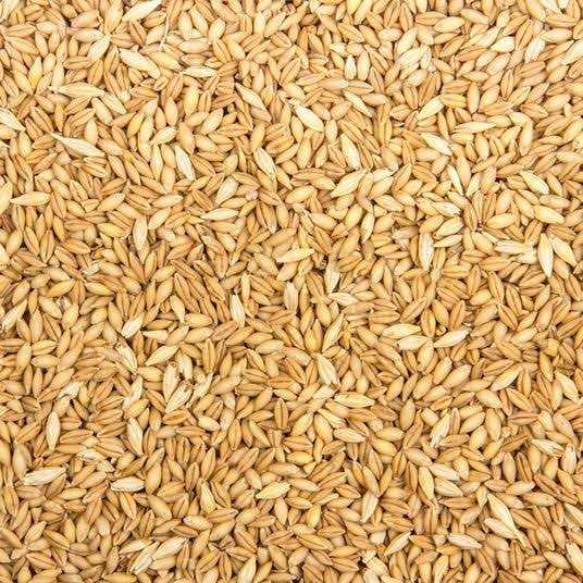 Organic Whole Barley Animal Feed R735146
