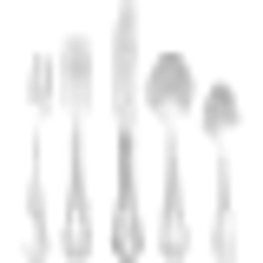 20-piece Stainless Steel Flatware Set F145794