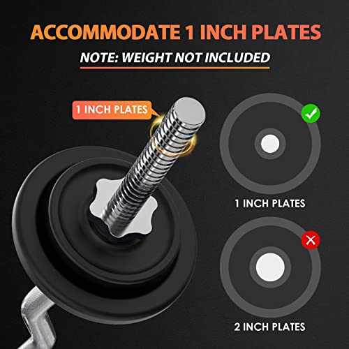 47" EZ Curl Bar Weight Lifting Bar with 2 Star Collars Y63716