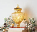 Illuminated Mercury Glass Apothecary Jar J133