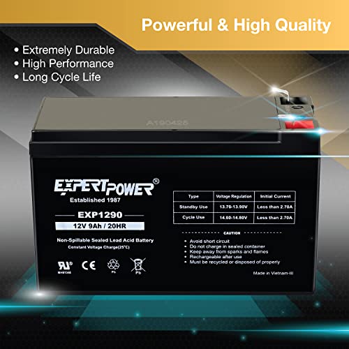 12v 9ah Sealed Lead Acid Battery with F2 Terminals 2 Pack Z909