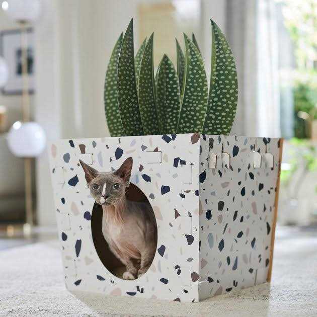 Cardboard Cat House V906289
