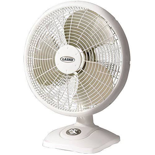 16 Desktop Fan with 90 Oscillation, 3 Speeds and Carry Handle J12661