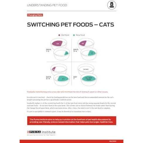 4-in-1 Pate Wet Cat Food B939421