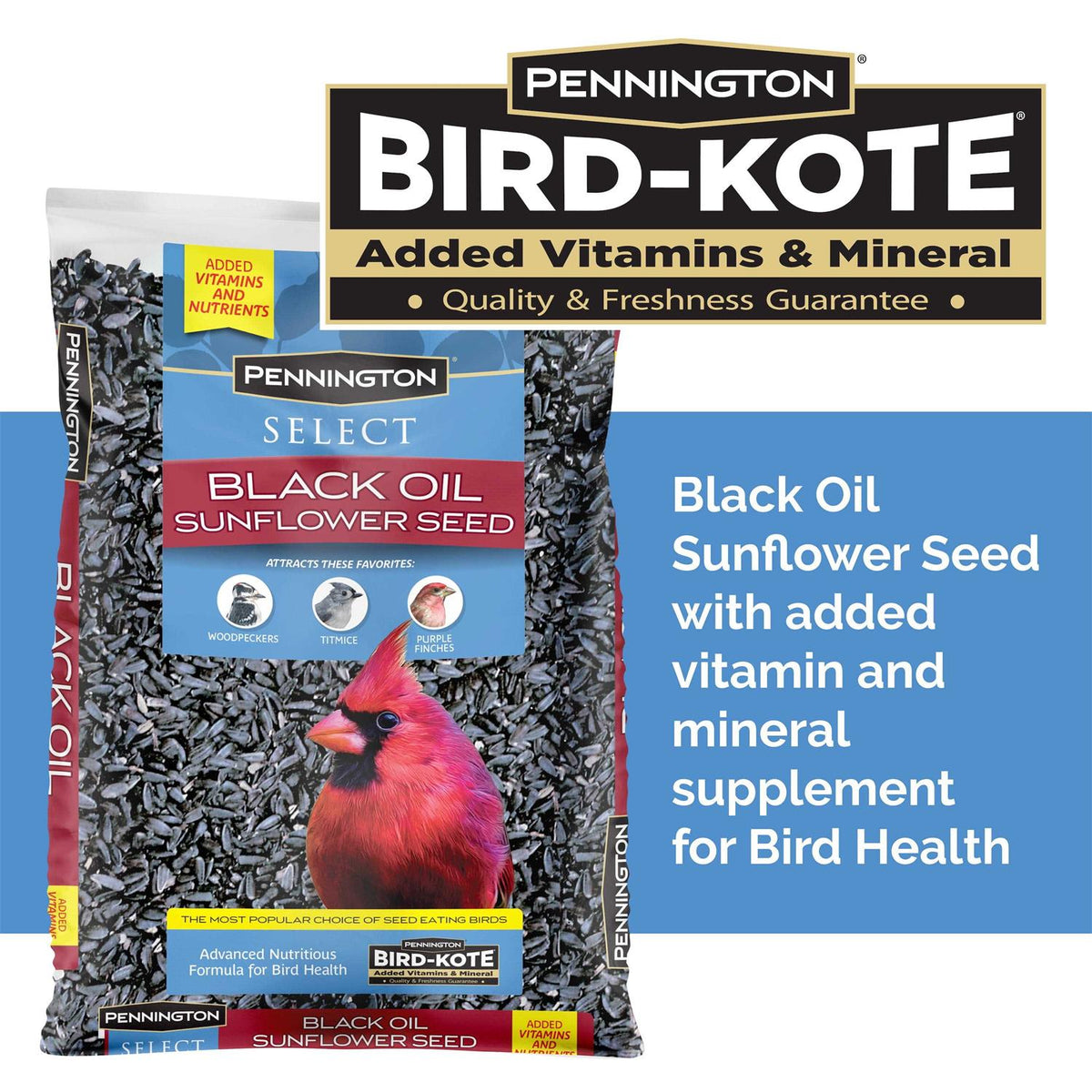 Black Oil Sunflower Seed Wild Bird Feed R8581