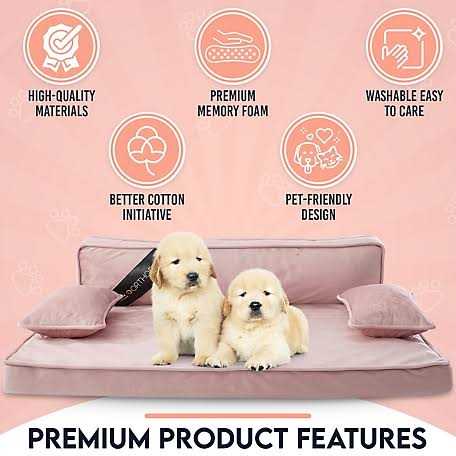 Modern Pet Sofa Bed M184
