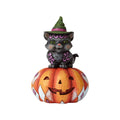 Black Cat on Pumpkin L49017