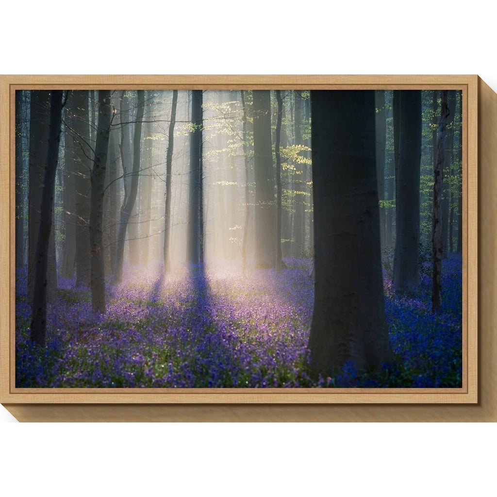 Framed Canvas Art A395572