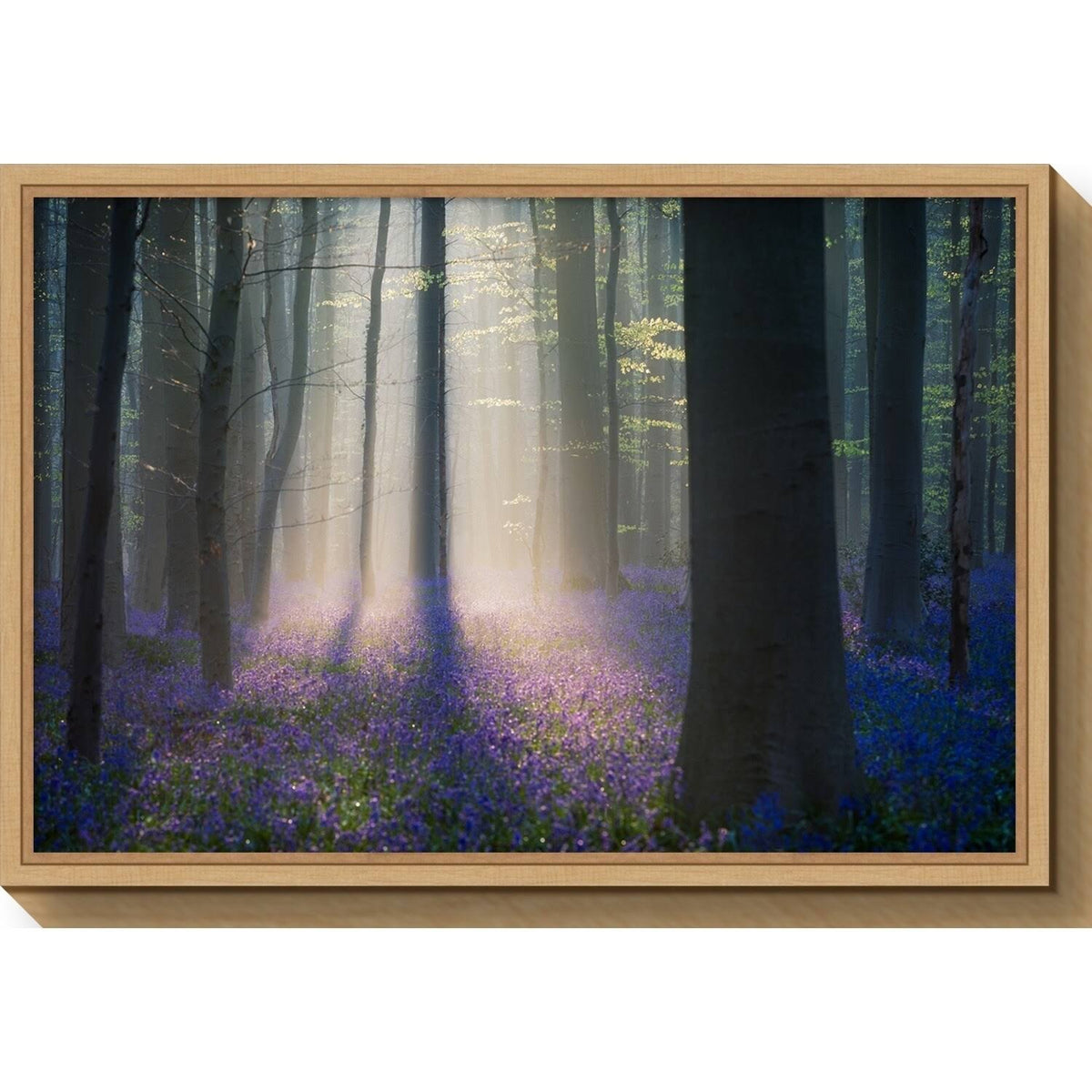 Framed Canvas Art A395572