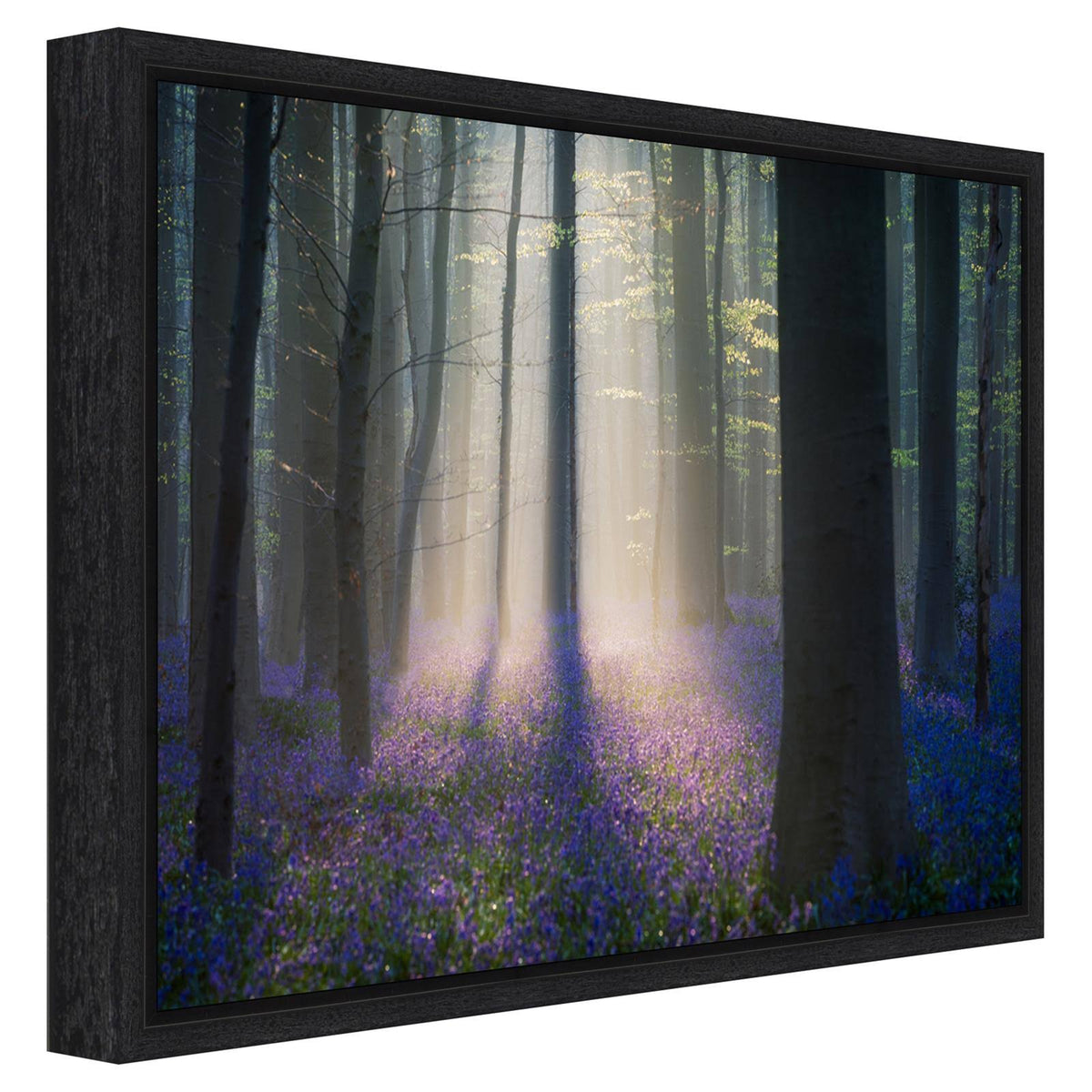 Framed Canvas Art A395572