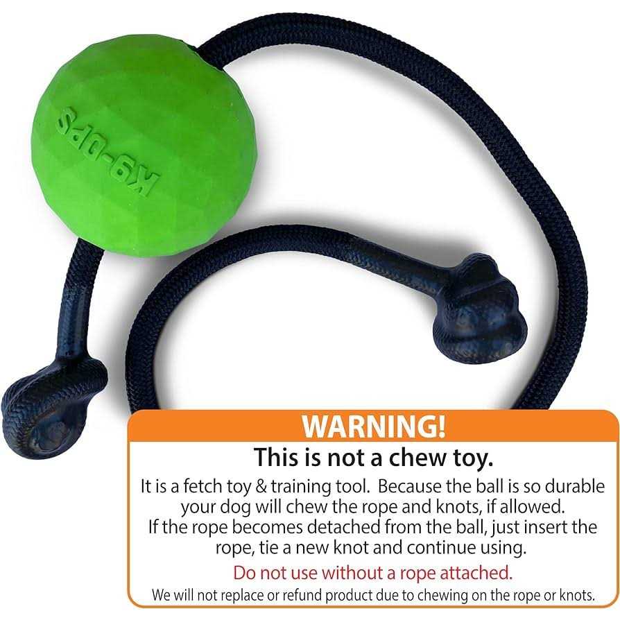 Solid Rubber Dog Ball on a Rope Tug Toy J473