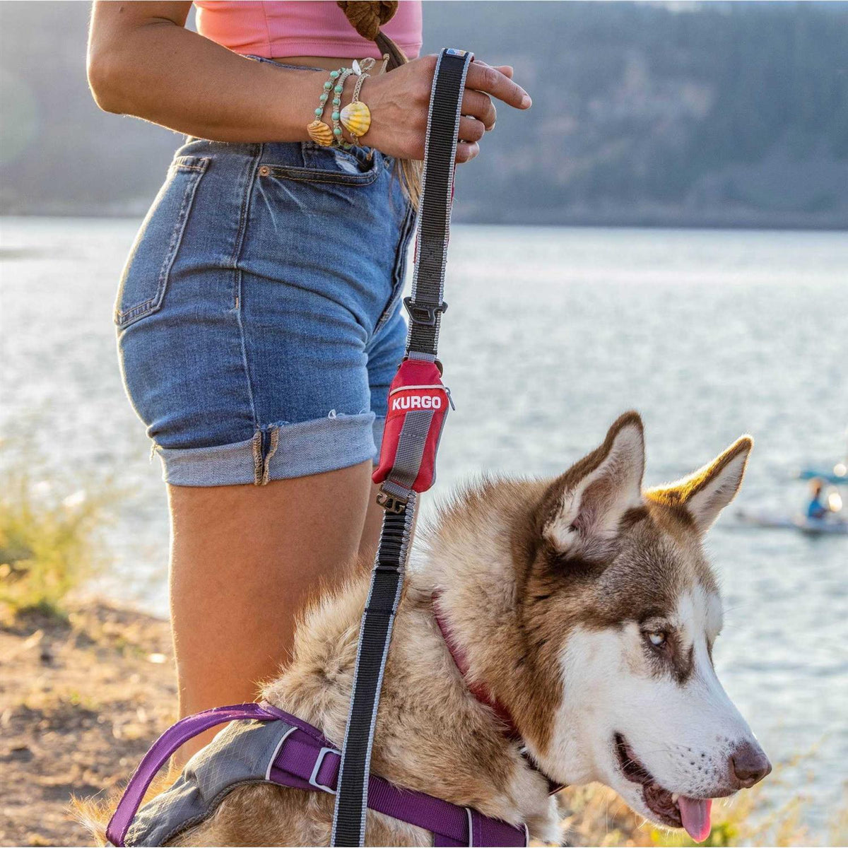 Pet Bag S6378