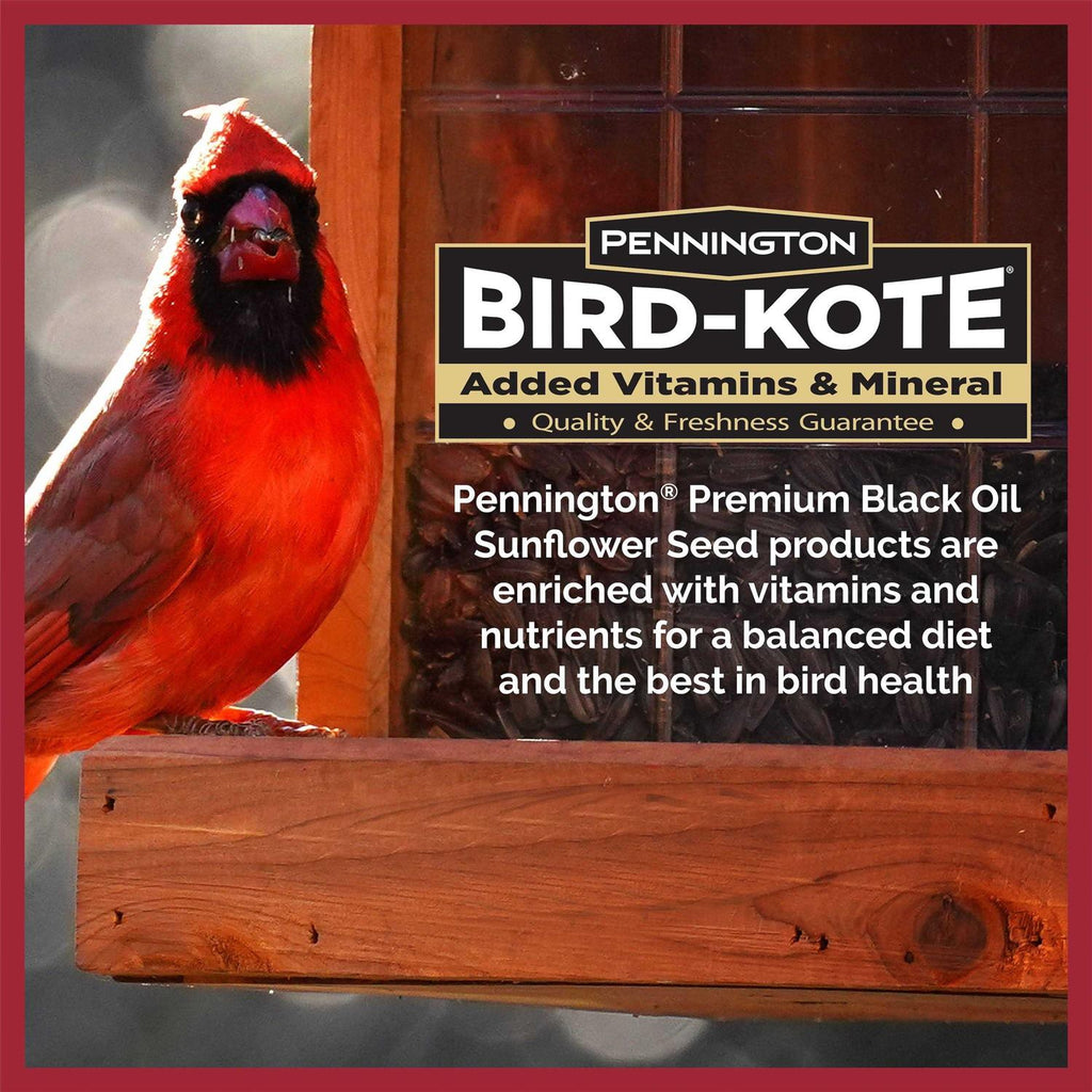 Black Oil Sunflower Seed Wild Bird Feed R8581