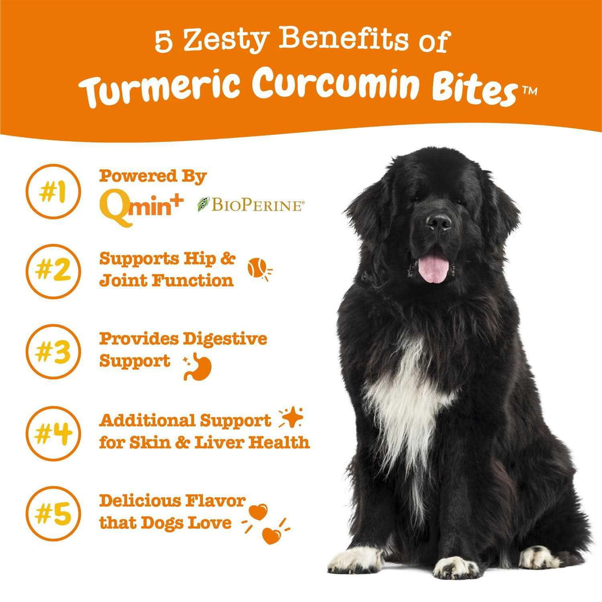 Turmeric Curcumin Bites for Dogs E397