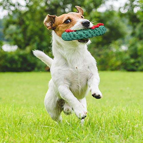 2 Pieces Dog Chew Toy and Candy Cane Rope Toy J268561