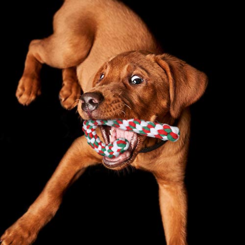 2 Pieces Dog Chew Toy and Candy Cane Rope Toy J268561