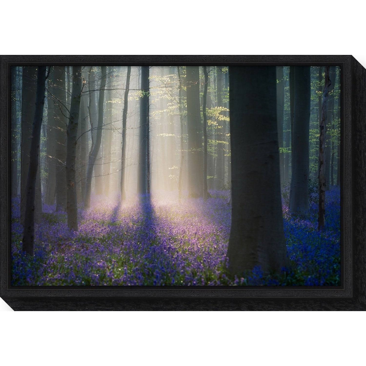 Framed Canvas Art A395572
