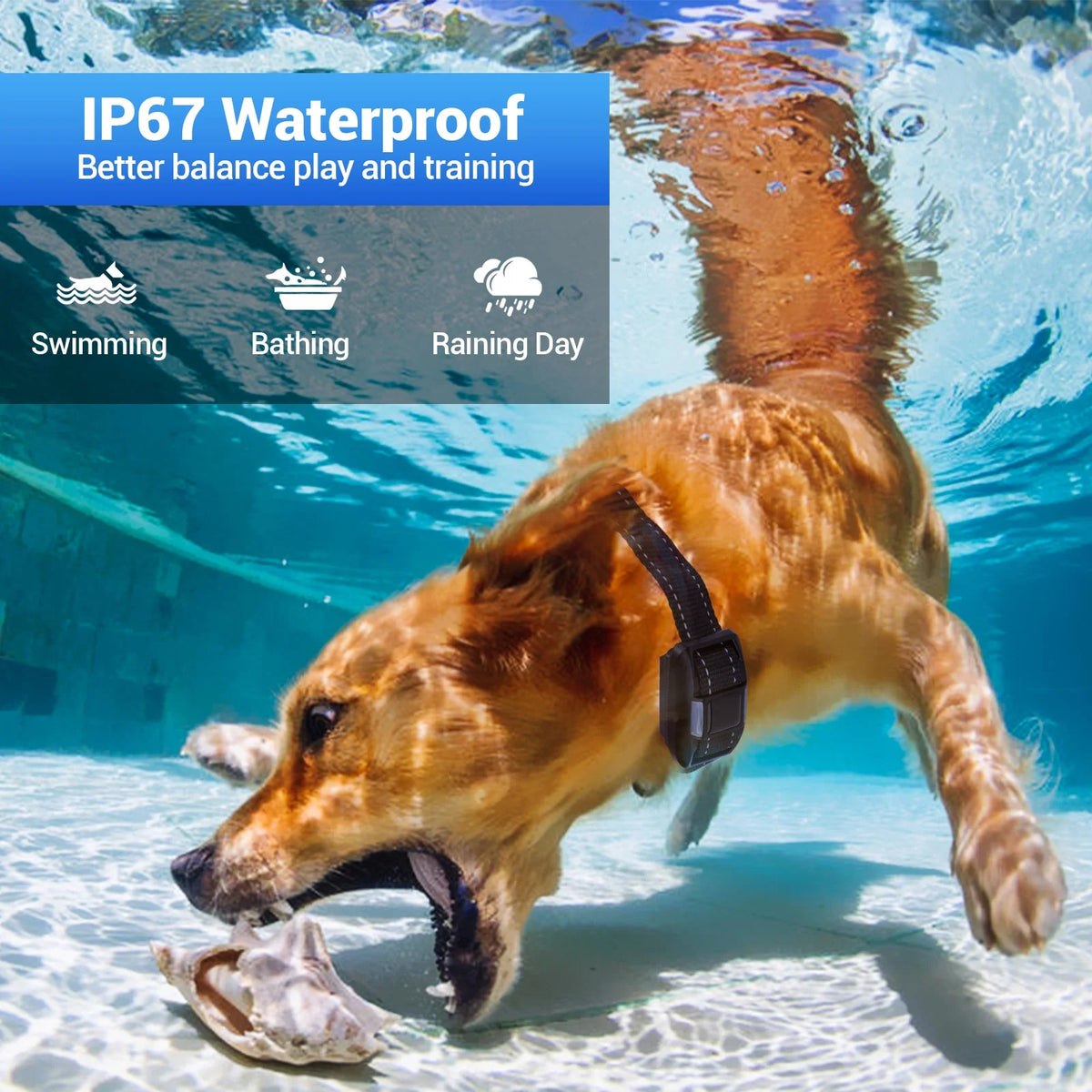 Rechargeable Waterproof Dog Training Collar with Remote A8993