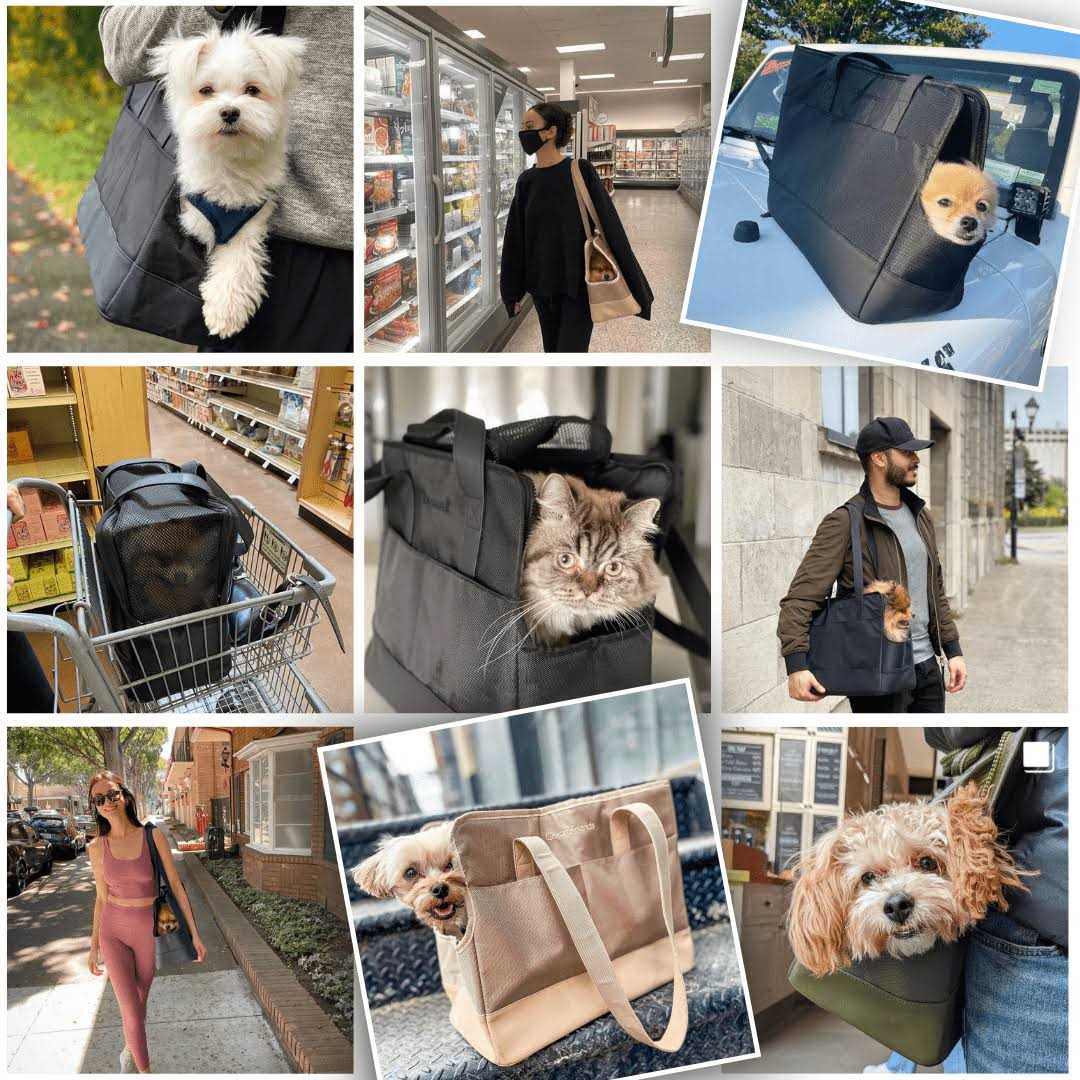 Pet Tote Bag for Small Dogs and Cats I37089