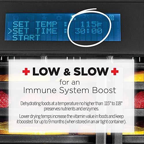 Electric Food Dehydrator with Adjustable Thermostat A8772