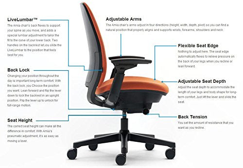Platinum Frame/Base Task Chair with 4 Way Adjustable Arms B850