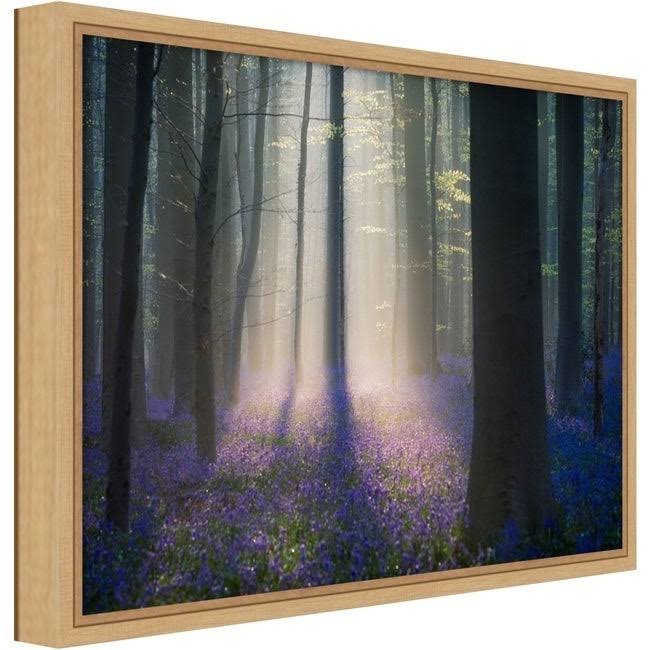 Framed Canvas Art A395572