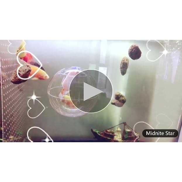 Transparent Hamster Exercise Ball U635