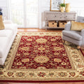 Red & Ivory 6' x 9' Traditional Area Rug B11873