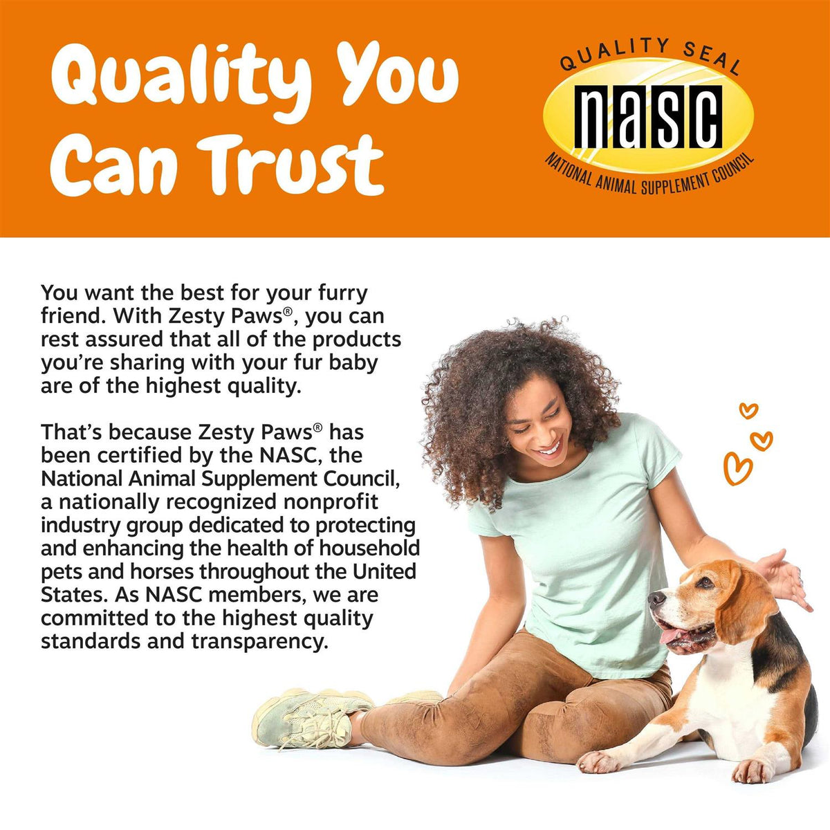 Turmeric Curcumin Bites for Dogs E397