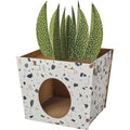 Cardboard Cat House V906289