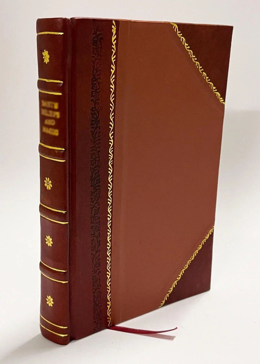 Rhode-Island and Providence Leather Bound V514