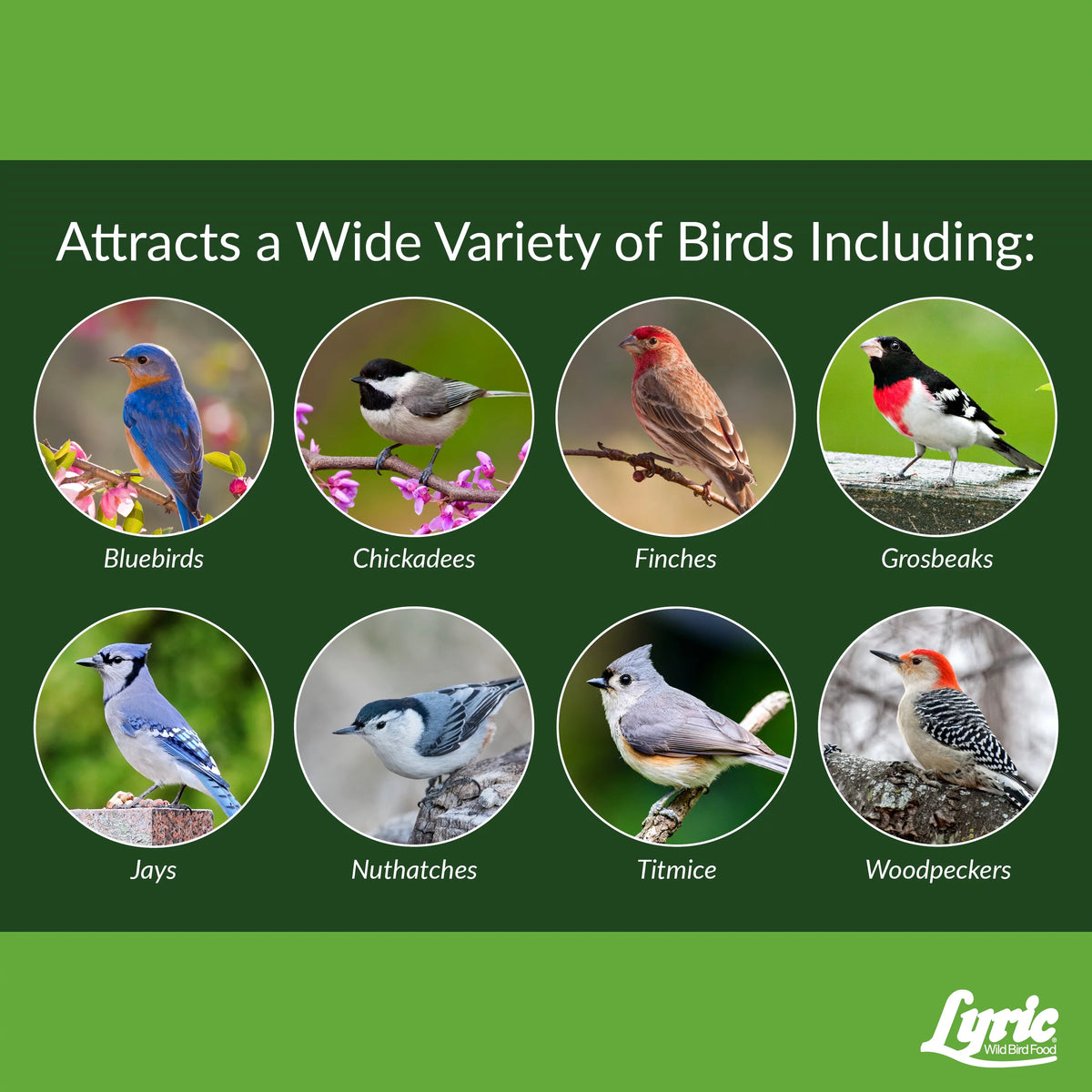 15 lb. No Waste Wild Bird Seed X870