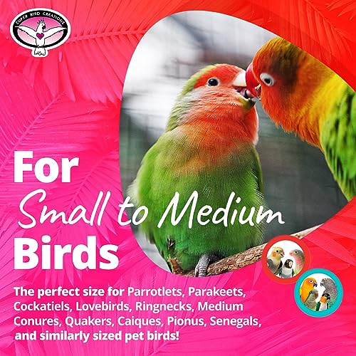Vine Ball Candy Cane Bird Toy O722807