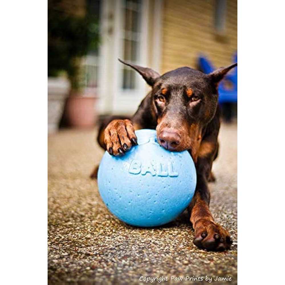 Pet Supplies Z448844