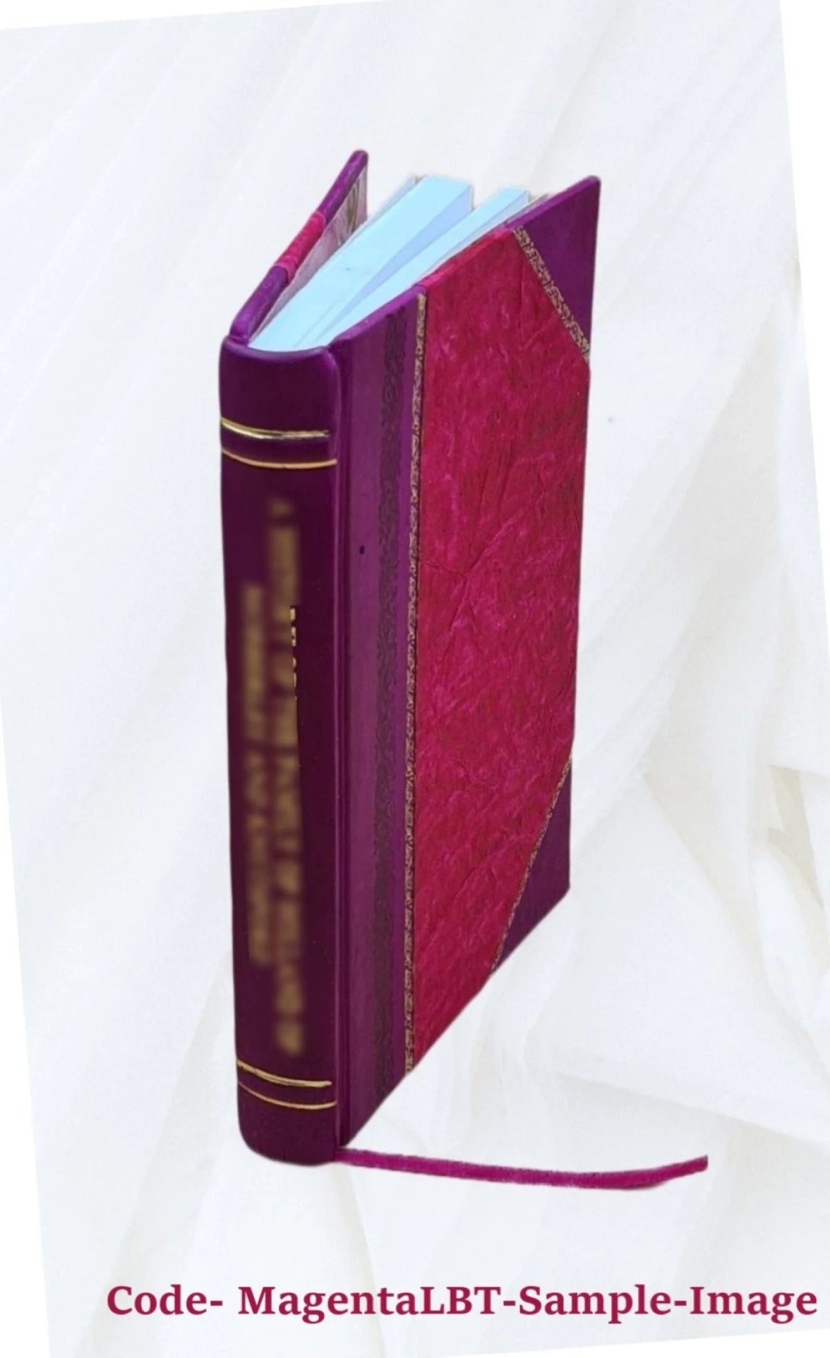 Census tract memo Leather Bound G592249