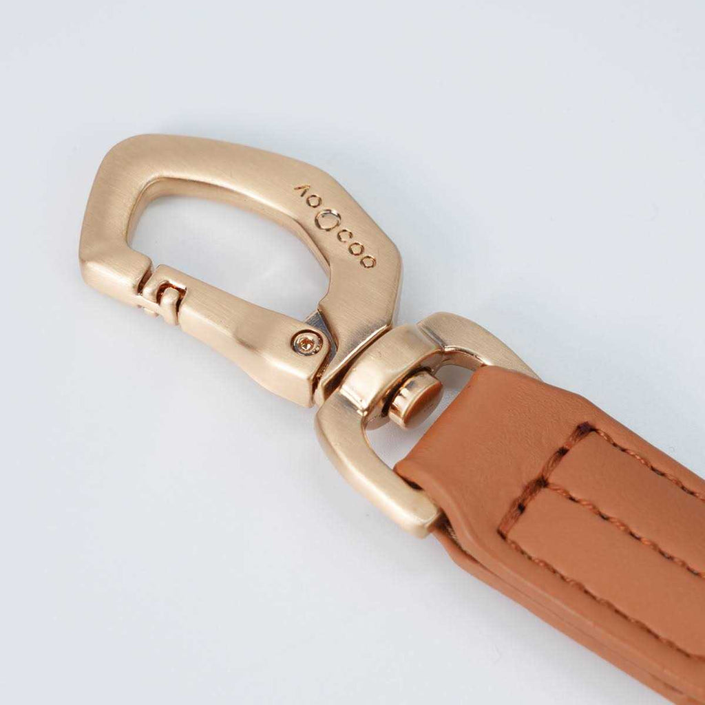 Pet Harness and Leash Set A9406